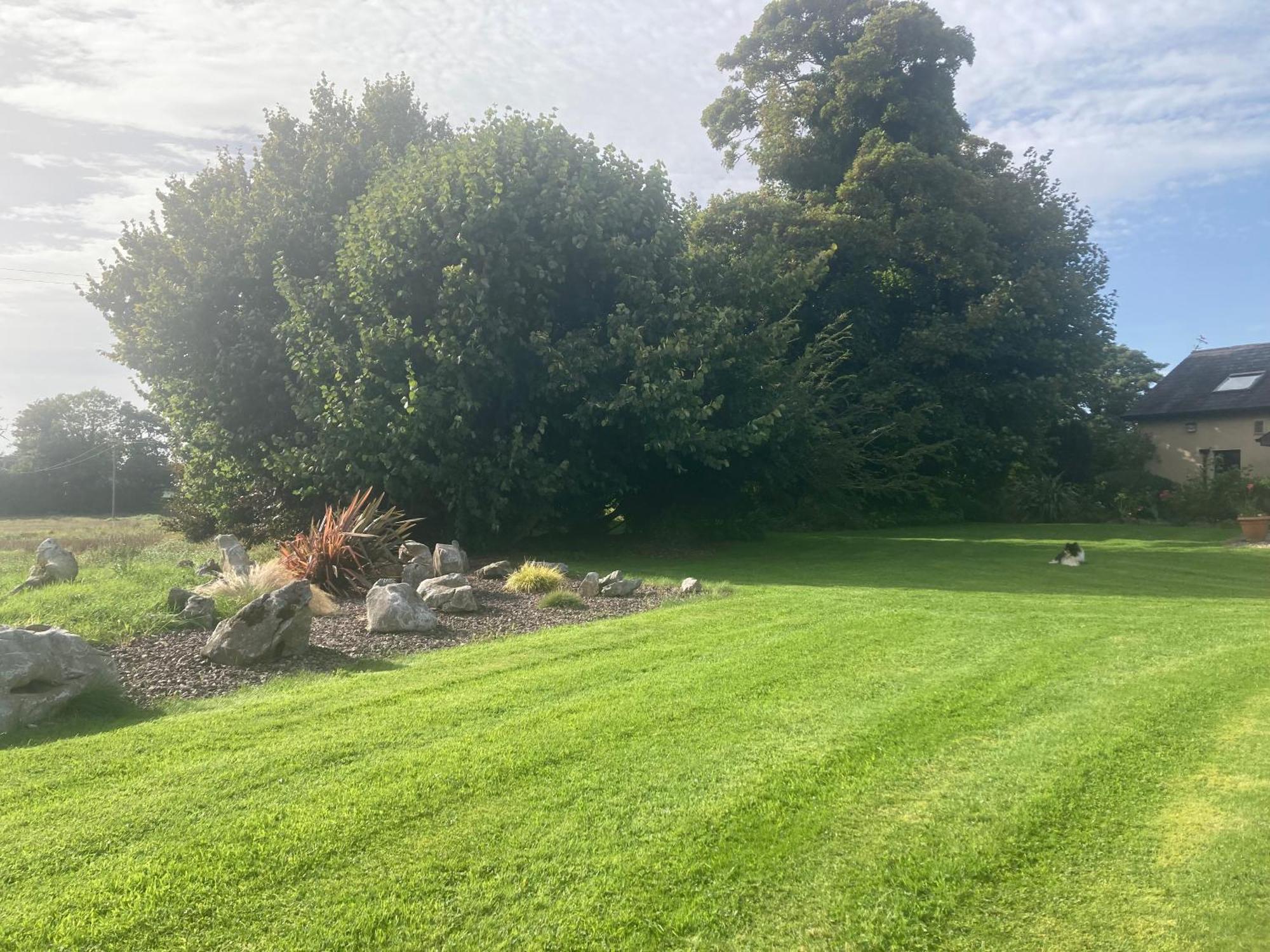 Grove House Country Rooms Shanballymore Экстерьер фото