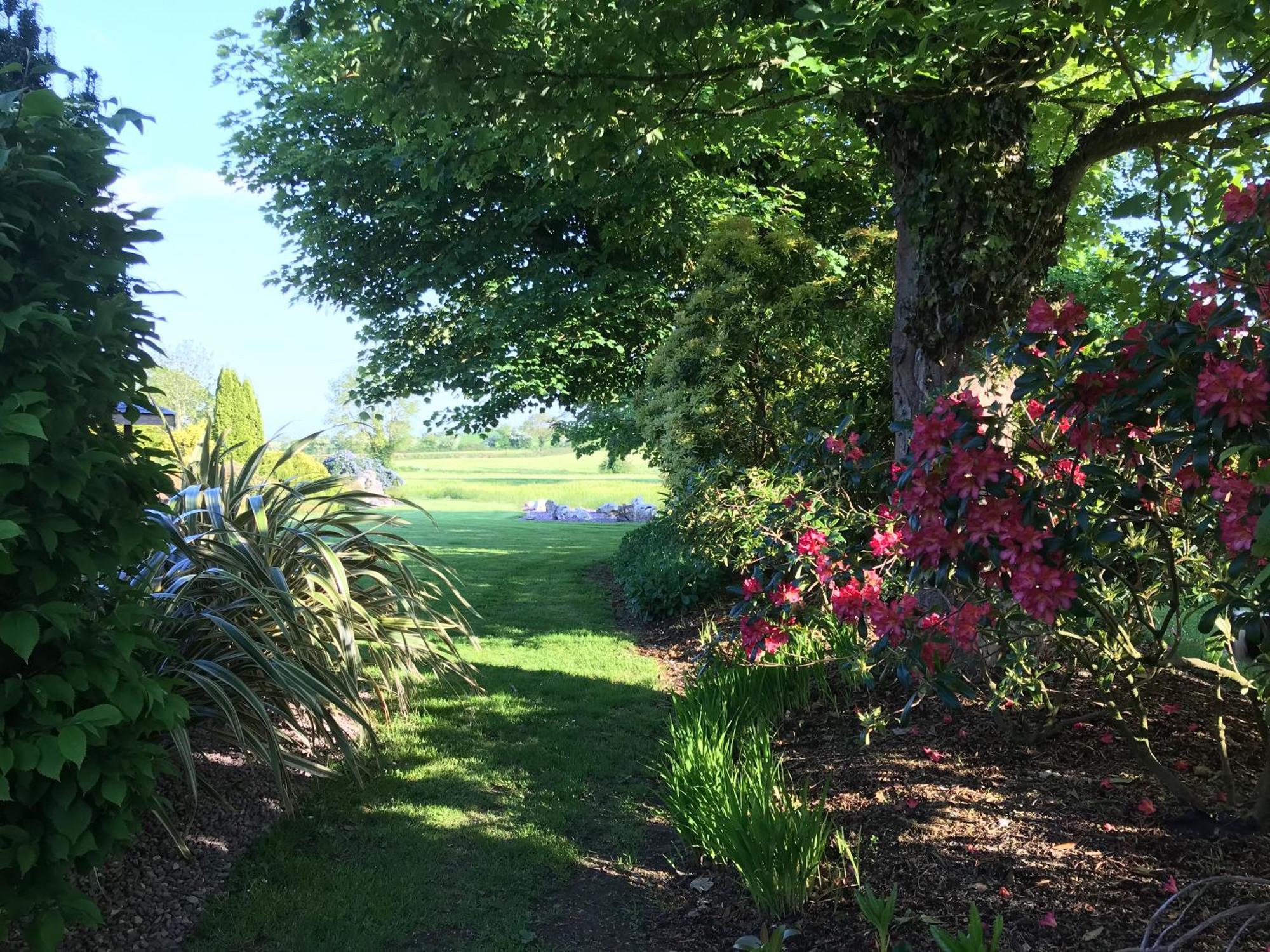 Grove House Country Rooms Shanballymore Экстерьер фото